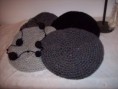 Boinas